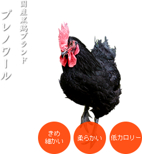 国産黒鶏ブランド、プレノワール。きめ細かい、柔らかい、低カロリー